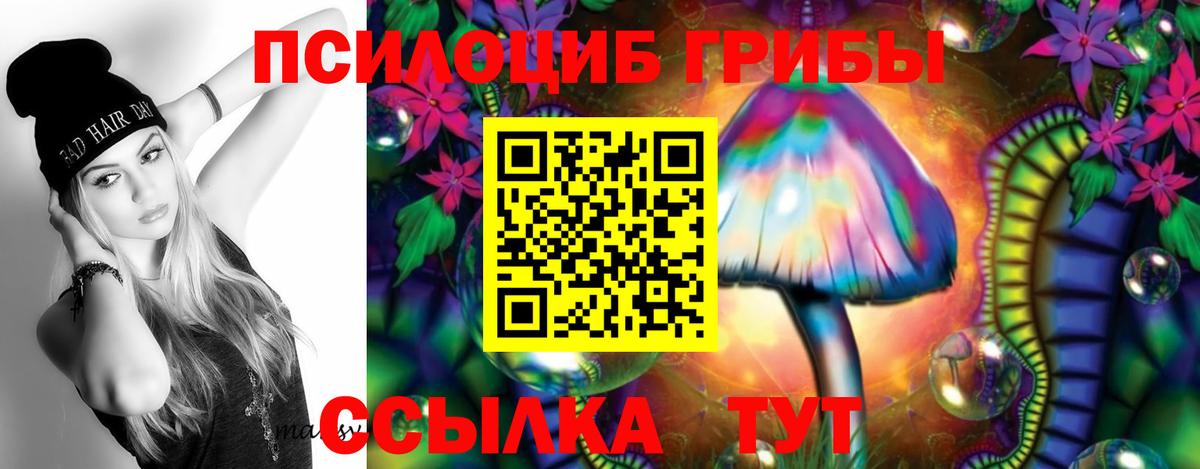 где можно купить   Вход с VPN  Павловский Посад  Галлюциногенные грибы ЛСД 